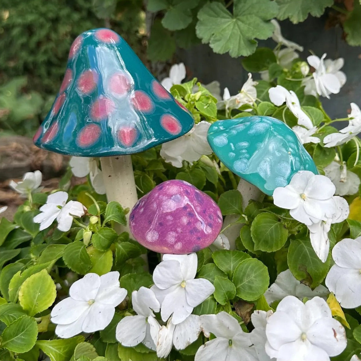 Shroomyz – Crystal Collection – Variety Pack - Image 8 of 8 | Garden Decor