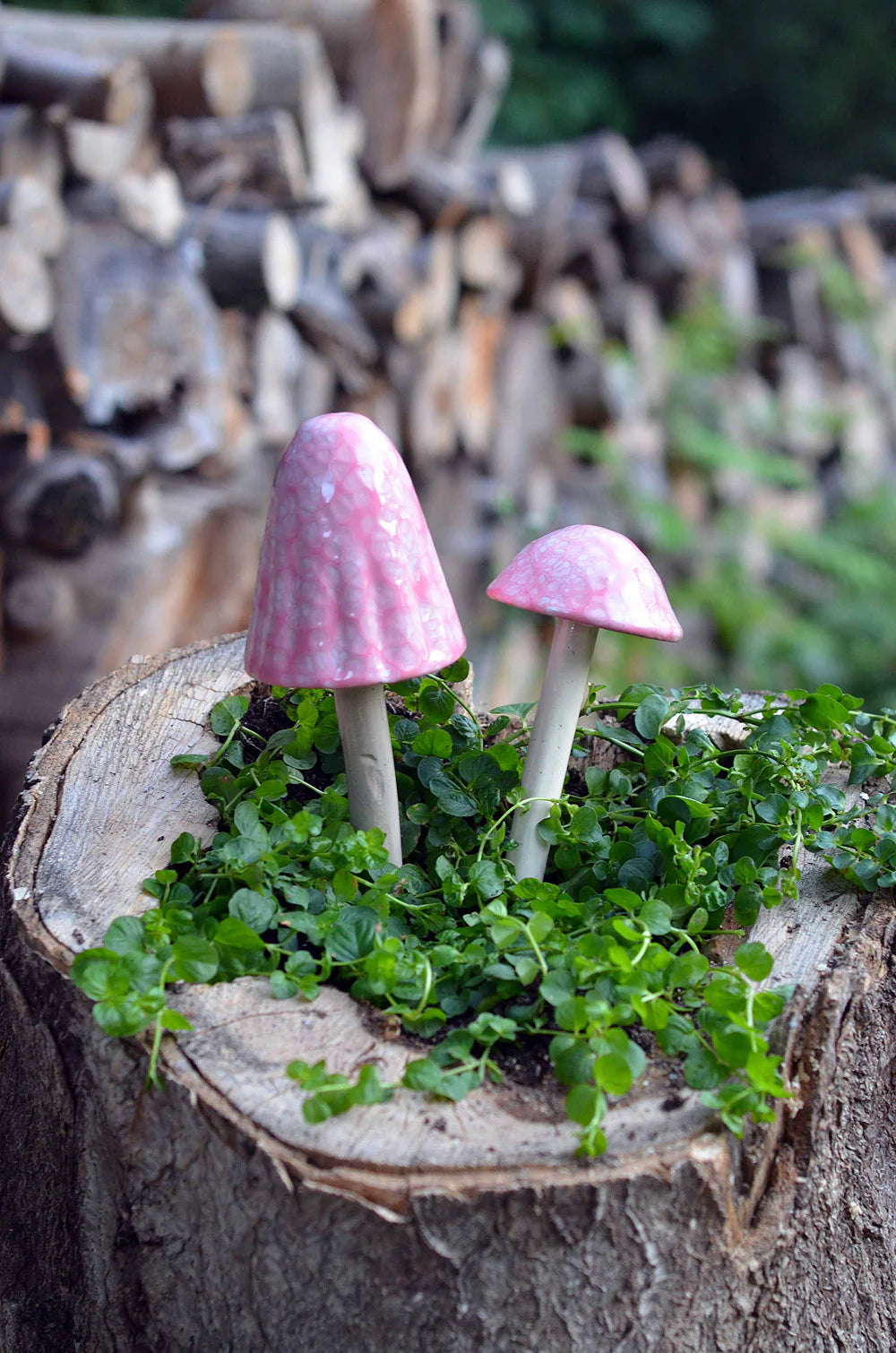 Shroomyz Ceramic Mushroom – Cotton Candy