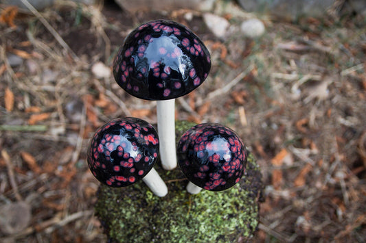 Shroomyz Ceramic Mushroom – Black Cherry