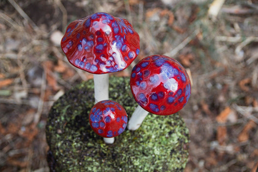 Shroomyz Ceramic Mushroom – Cherry Berry