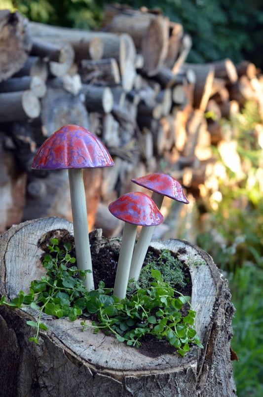 Shroomyz Ceramic Mushroom – Cherry Pop Rock