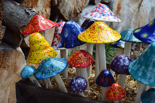 Crystal Variety Pack - Close up