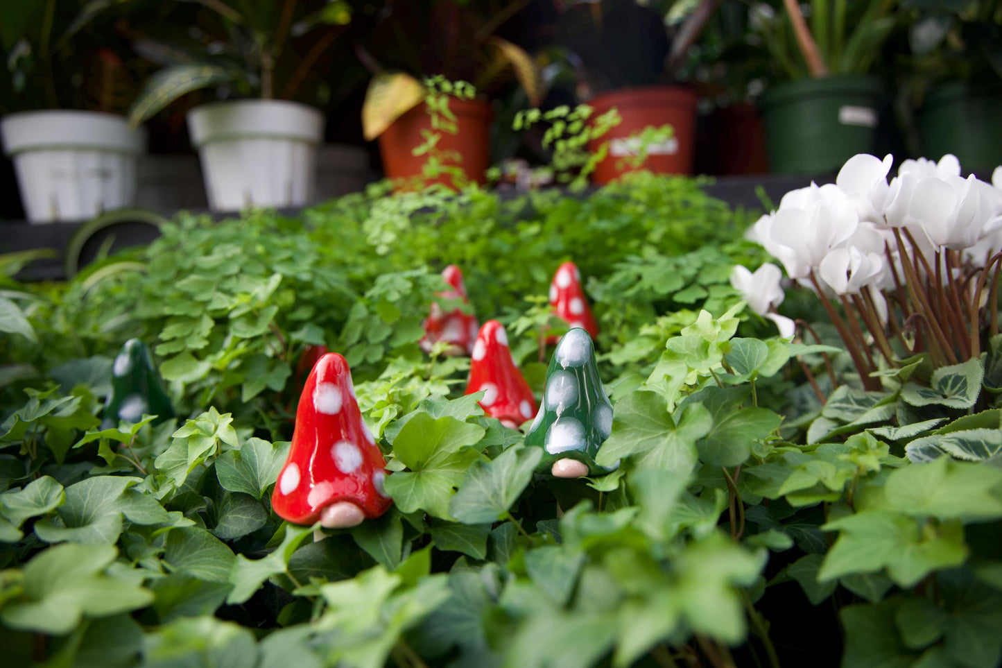 Gnomyz – Christmas Micro Pack - Image 3 of 3 | Garden Decor