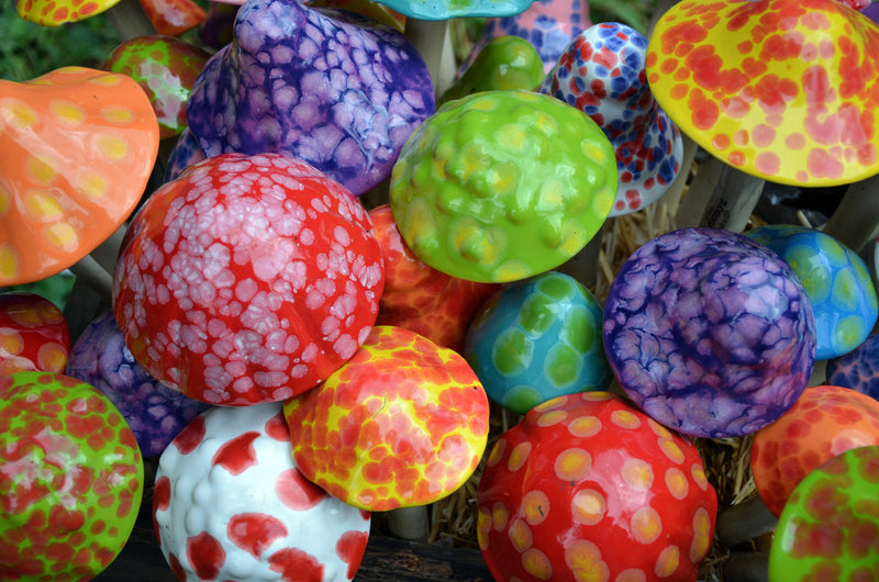 Funtasmic Variety Pack Shroomyz