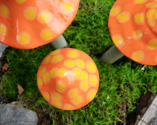 Shroomyz Ceramic Mushroom – Fuzzy Peach