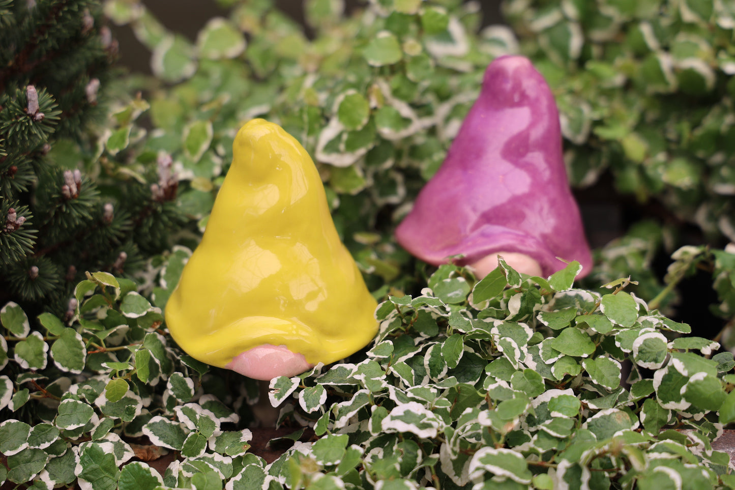 Gnomyz – Classic Colors Micro Pack - Image 5 of 5 | Garden Decor