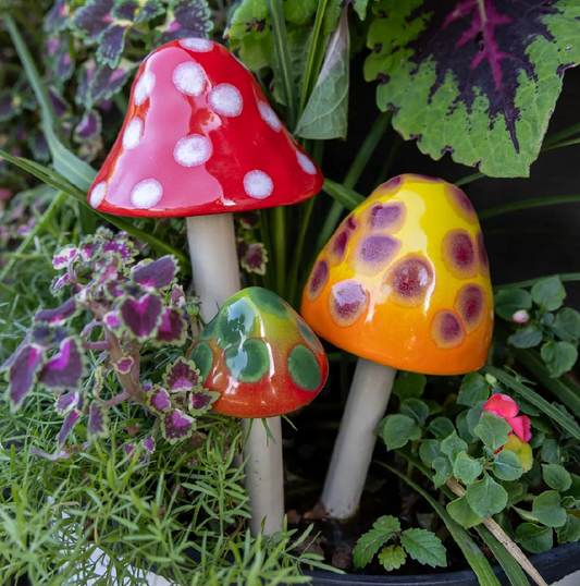 Shroomyz – Gumdrop Collection – Variety Pack - Image 2 of 7 | Garden Decor