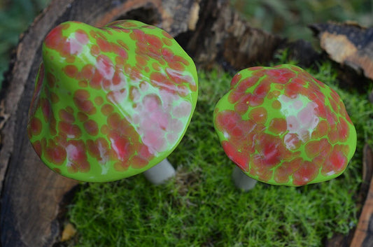 Shroomyz Ceramic Mushroom – Johnny Appleseed