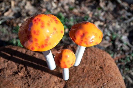 Shroomyz Ceramic Mushroom – Mango Madness