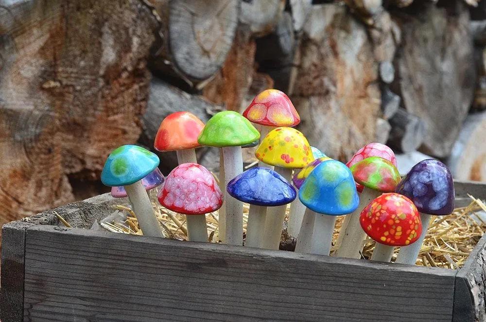 Shroomyz – Micro Pack - Image 10 of 10 | Garden Decor