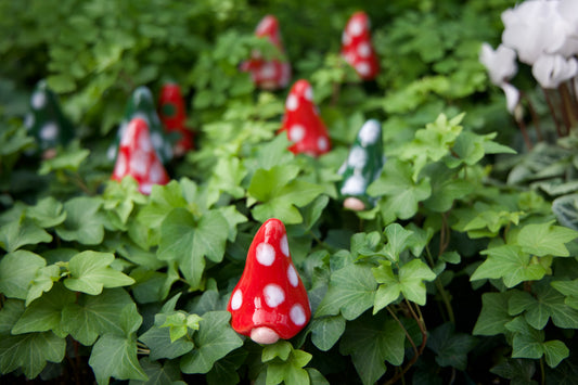 Gnomyz Ceramic Gnome – Micro Pack