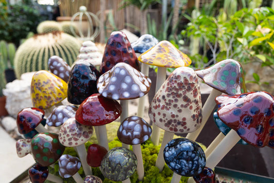 Shroomyz Ceramic Mushroom – Natural Variety Pack
