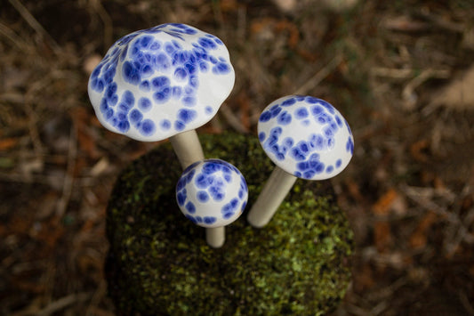 Shroomyz Ceramic Mushroom – Old English