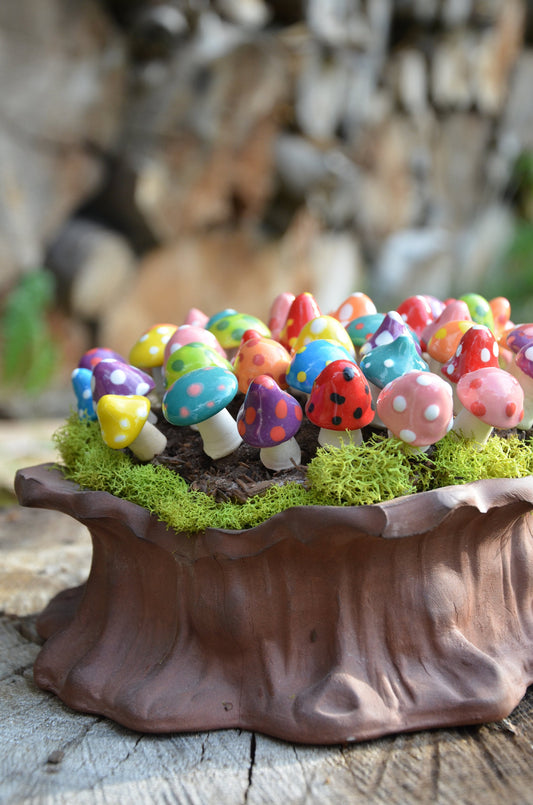 Shroomyz Ceramic Mushroom – Pico Variety Pack