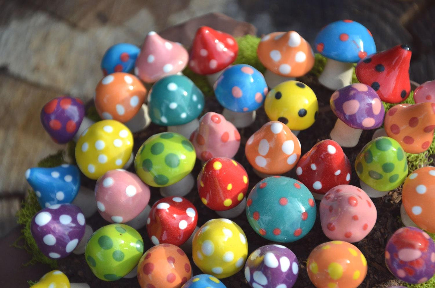 Shroomyz – Pico Pack - Image 10 of 10 | Garden Decor