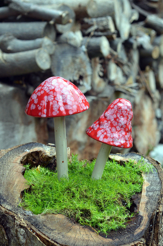 Shroomyz Ceramic Mushroom – Red Planet