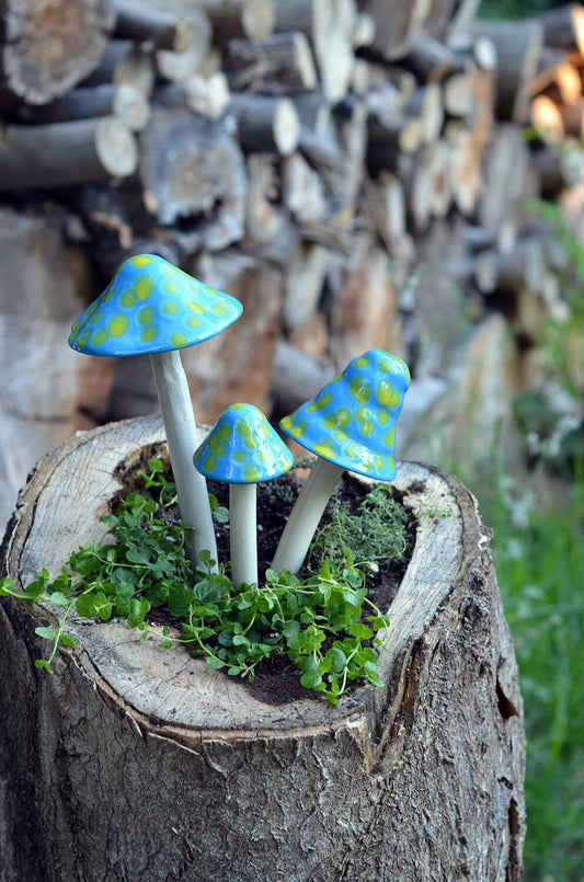 Shroomyz Ceramic Mushroom – Robin's Egg