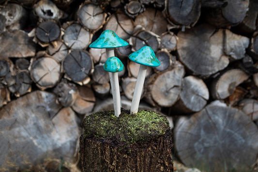 Shroomyz Ceramic Mushroom – Turquoise Turtle