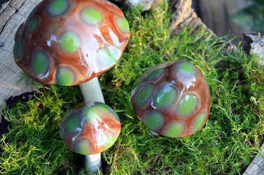 Shroomyz Ceramic Mushroom – Turtle Time