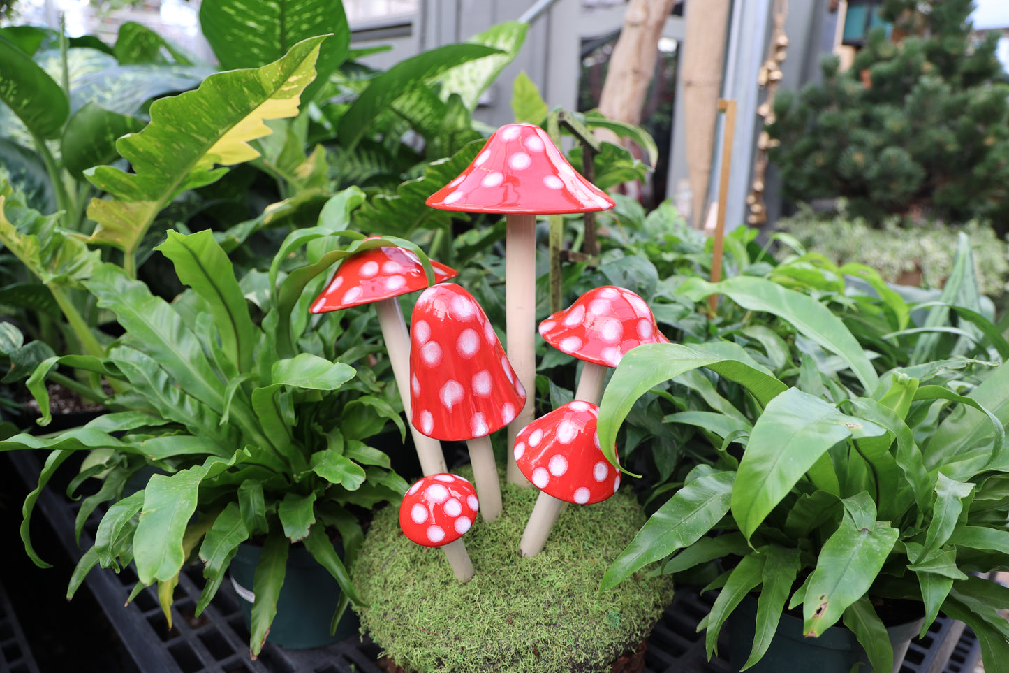 Shroomyz Ceramic Mushroom – Red Polka Dot Variety Pack