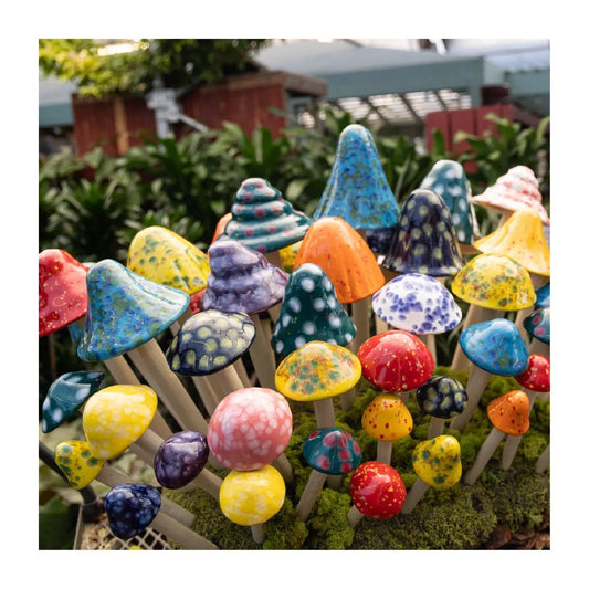 Shroomyz Ceramic Mushroom – Crystal Variety Pack