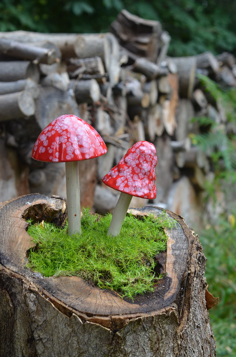 Shroomyz Ceramic Mushroom – Red Planet