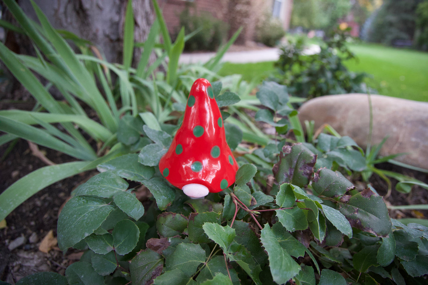 Gnomyz Ceramic Gnome – Variety Pack