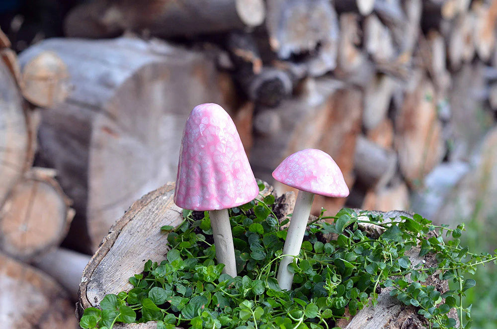 Shroomyz Ceramic Mushroom – Cotton Candy