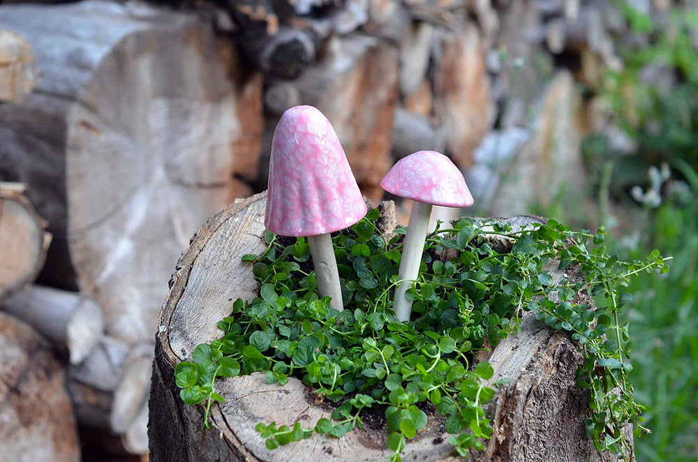 Shroomyz Ceramic Mushroom – Cotton Candy