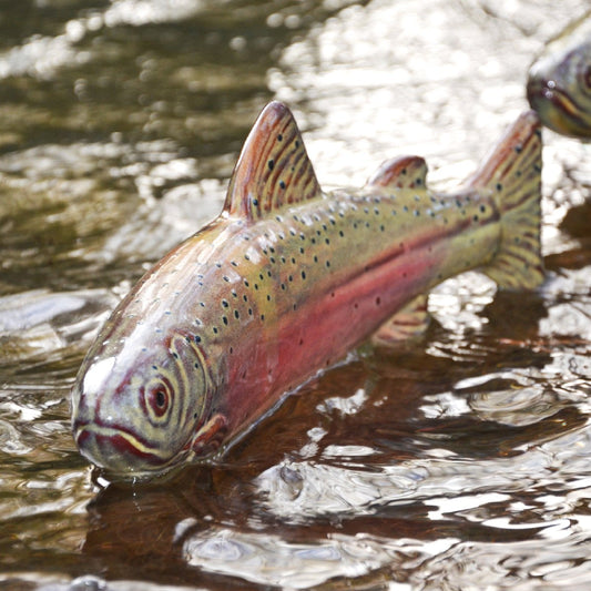 Garden Fish – Trout - Rainbow Trout | Garden Decor