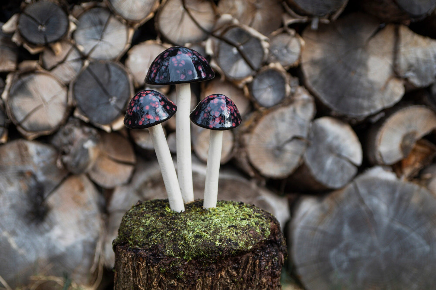 Shroomyz Ceramic Mushroom – Black Cherry