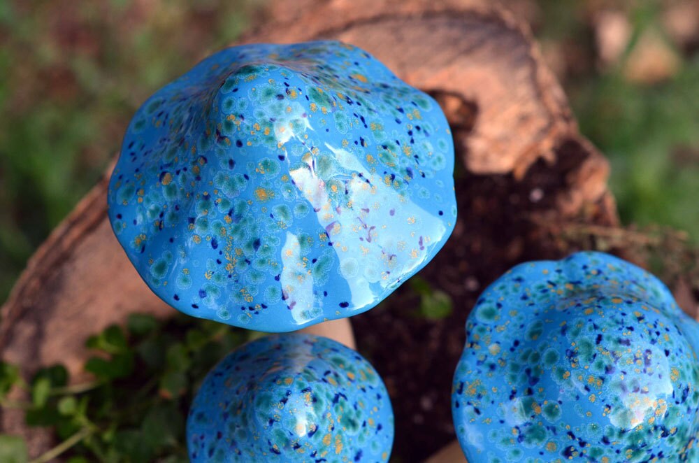 Shroomyz Ceramic Mushroom – Blue Caprice