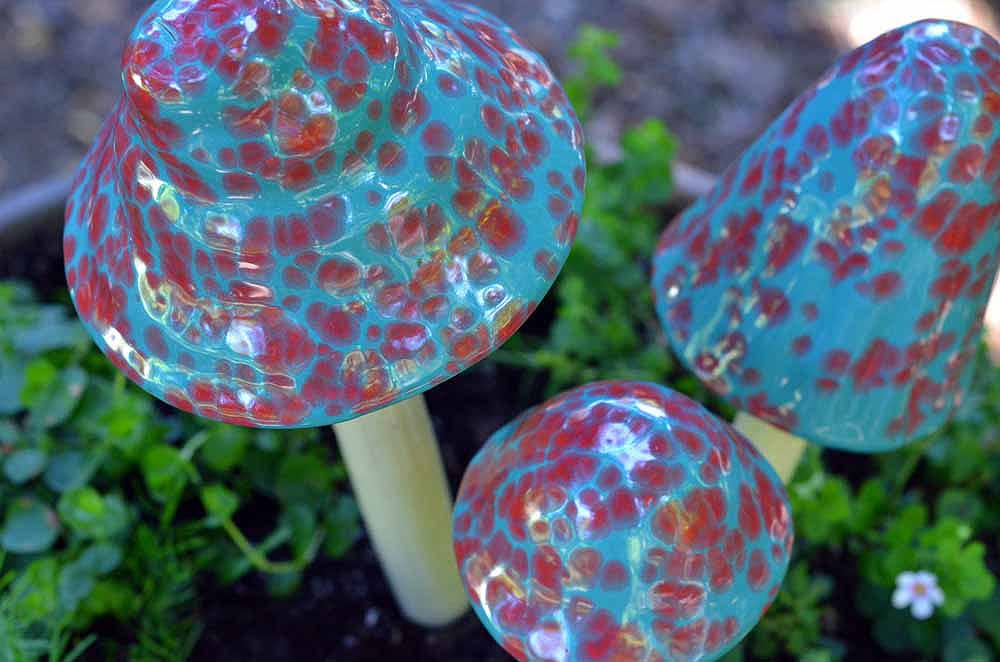 Shroomyz Ceramic Mushroom – Blue Raspberry