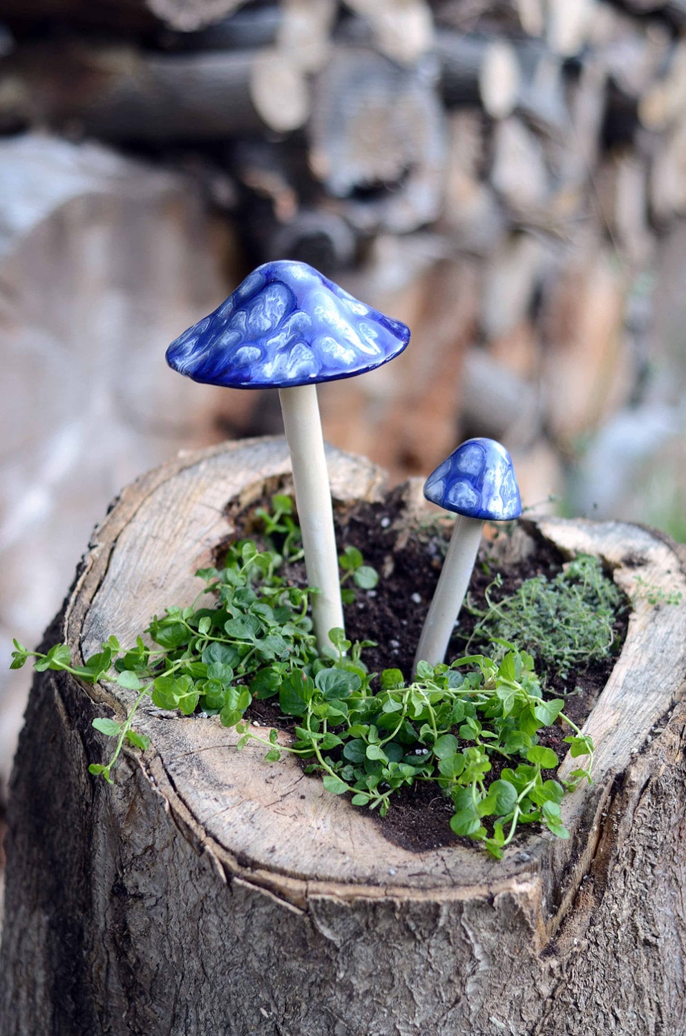 Shroomyz Ceramic Mushroom – Blueberry