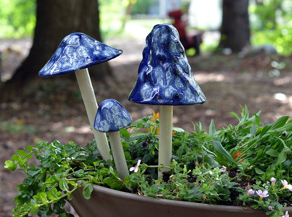 Shroomyz Ceramic Mushroom – Blueberry