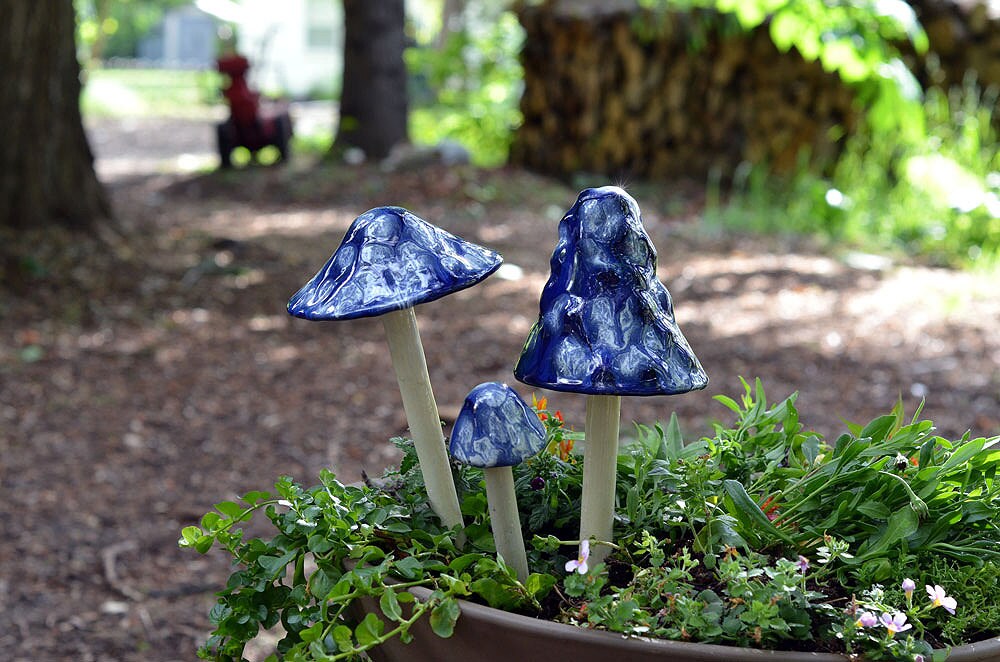 Shroomyz Ceramic Mushroom – Blueberry