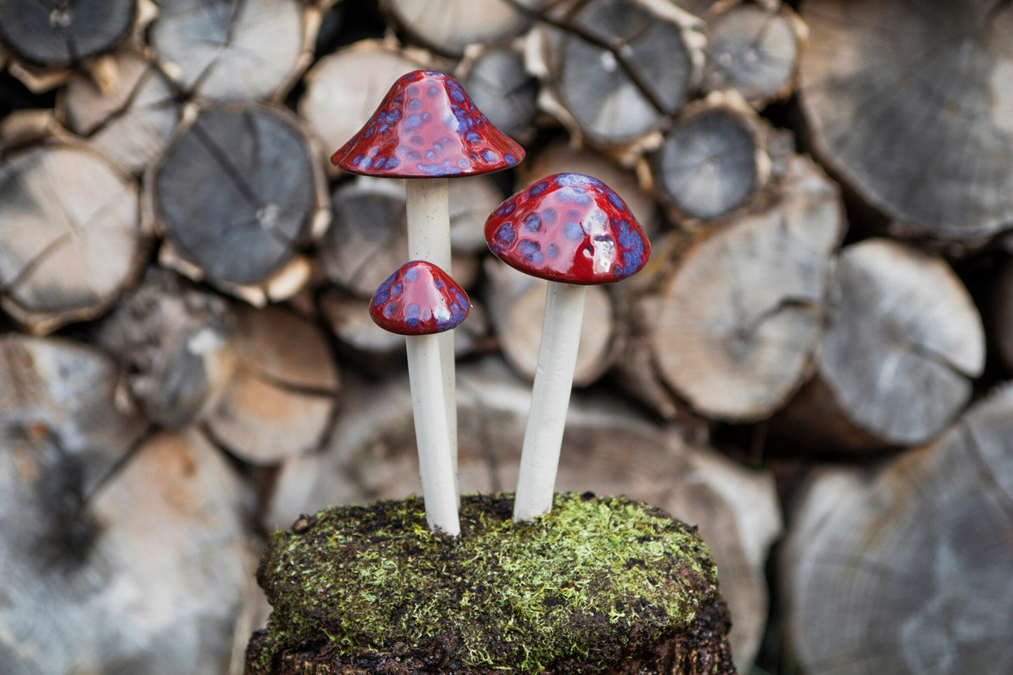 Shroomyz Ceramic Mushroom – Cherry Berry