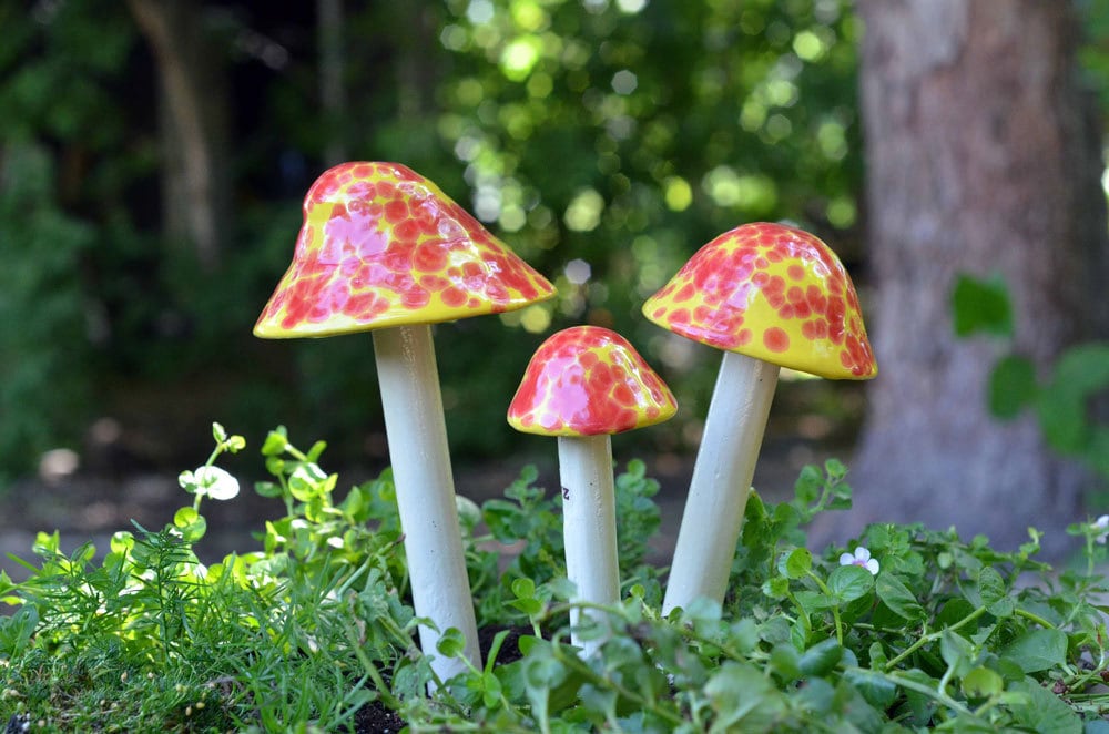 Shroomyz Ceramic Mushroom – Cherry Bomb