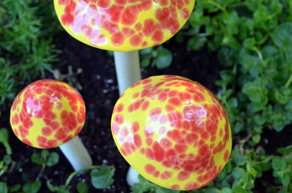 Shroomyz Ceramic Mushroom – Cherry Bomb