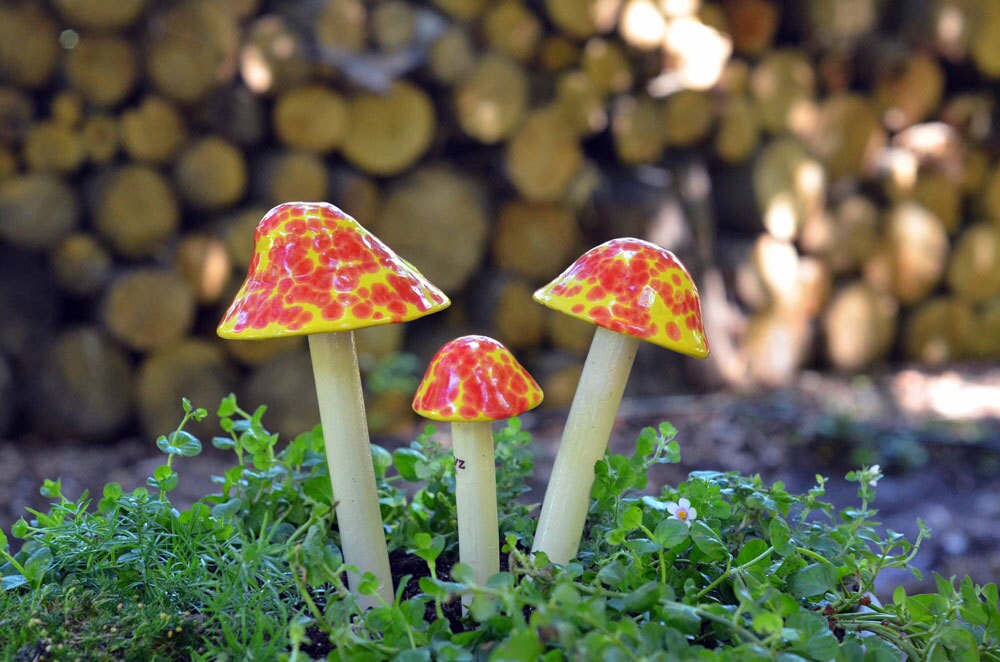 Shroomyz Ceramic Mushroom – Cherry Bomb