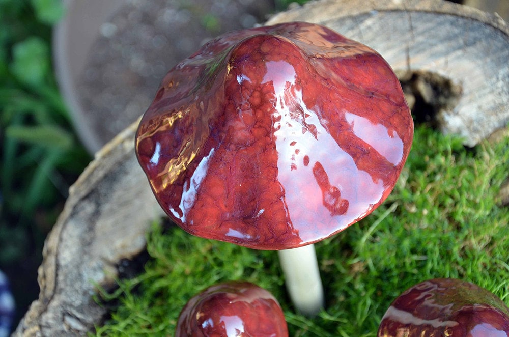 Shroomyz Ceramic Mushroom – Cranberry