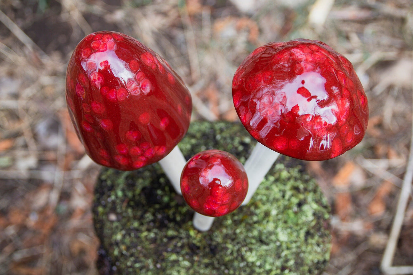Shroomyz Ceramic Mushroom – Cranberry