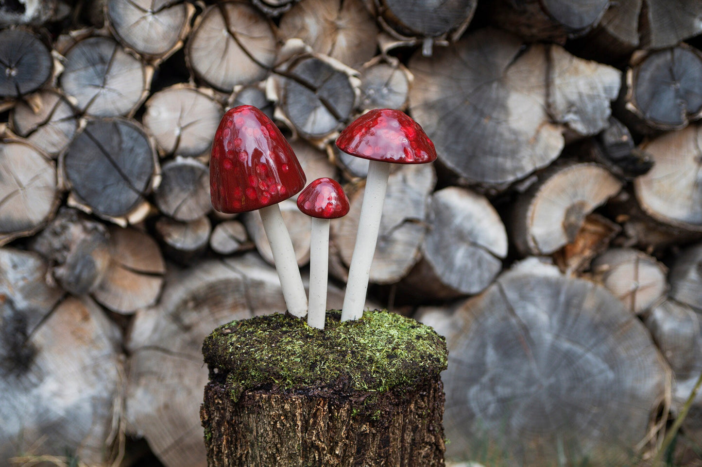Shroomyz Ceramic Mushroom – Cranberry