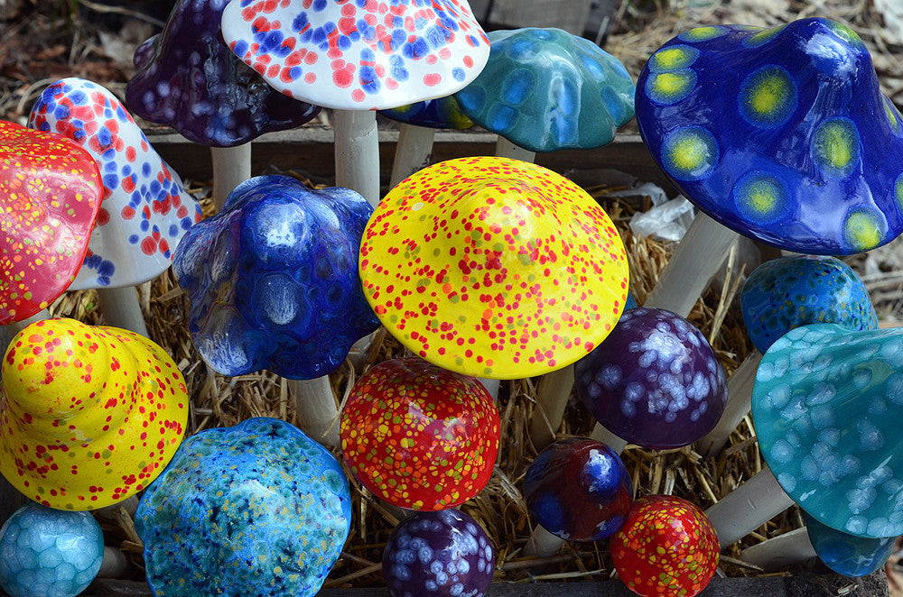 Crystal Variety Pack - Ceramic Shroomyz