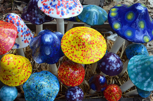 Crystal Variety Pack - Ceramic Shroomyz