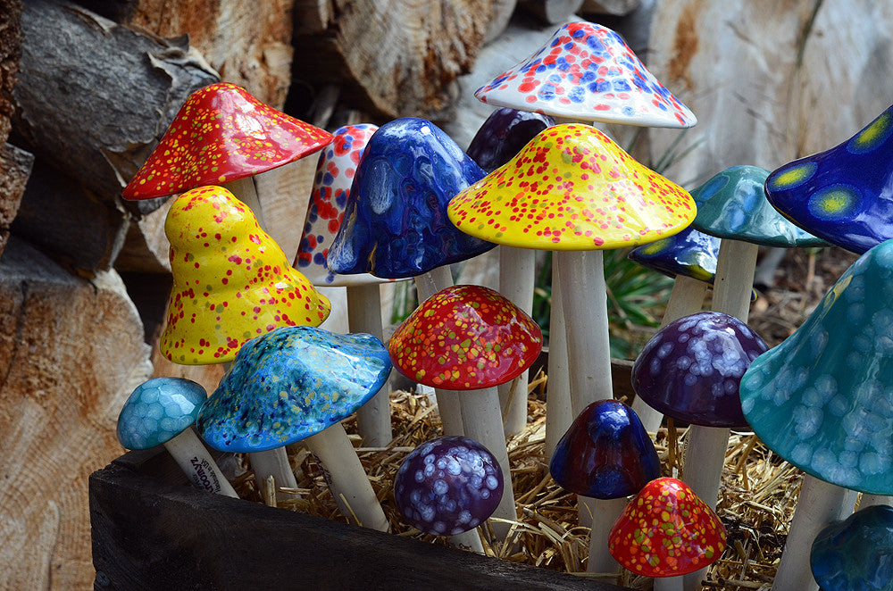 Crystal Variety Pack - Close up