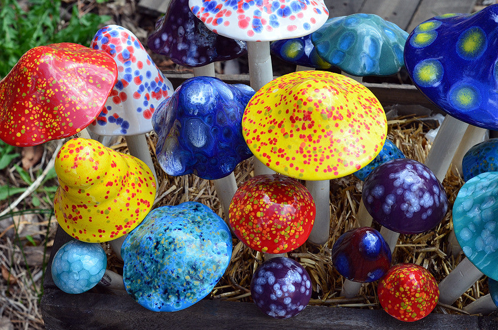 Crystal Variety Pack - Garden display