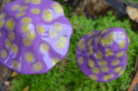 Shroomyz Ceramic Mushroom – Dinosaur Egg