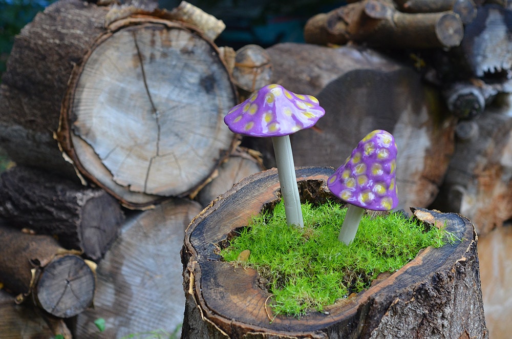 Shroomyz Ceramic Mushroom – Dinosaur Egg