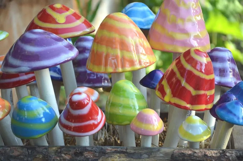Shroomyz Ceramic Mushroom – Fantasy Variety Pack